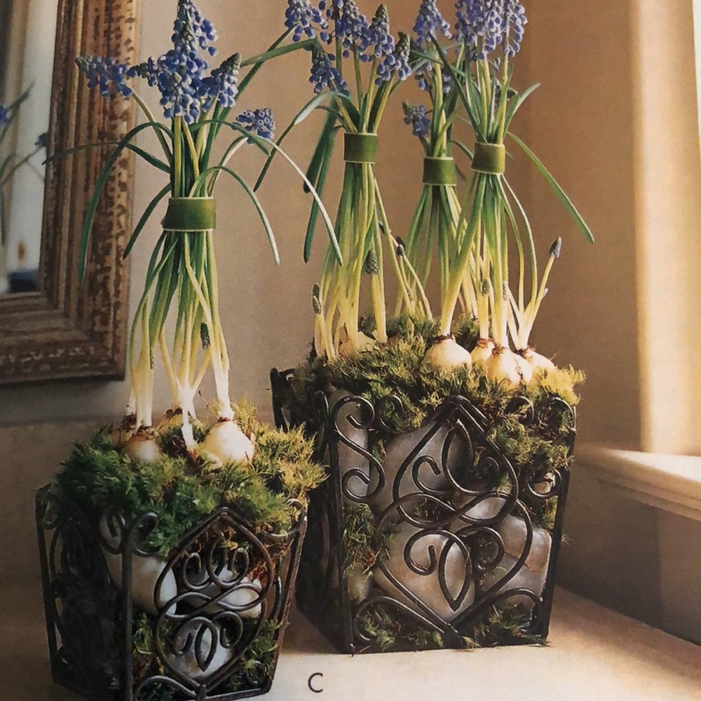 Rosedale Plant Holders